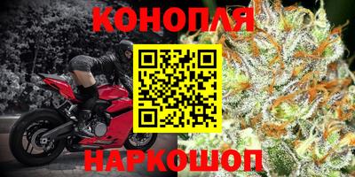 jwh Моздок