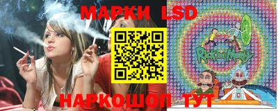 МДПВ Можга