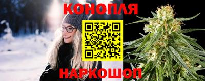 МДПВ Можга